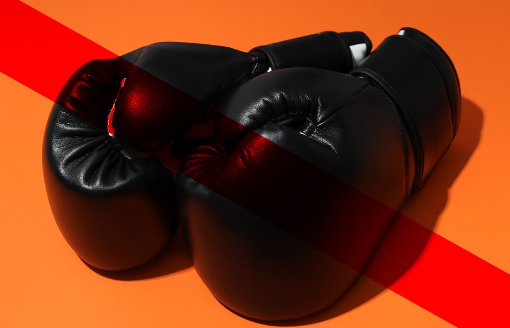 There Is No "Best" Boxing Glove (No Seriously, NONE!)